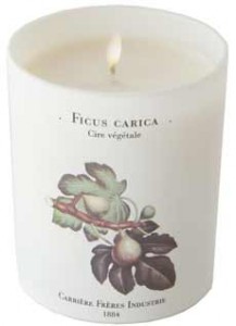 9-ficus-carica